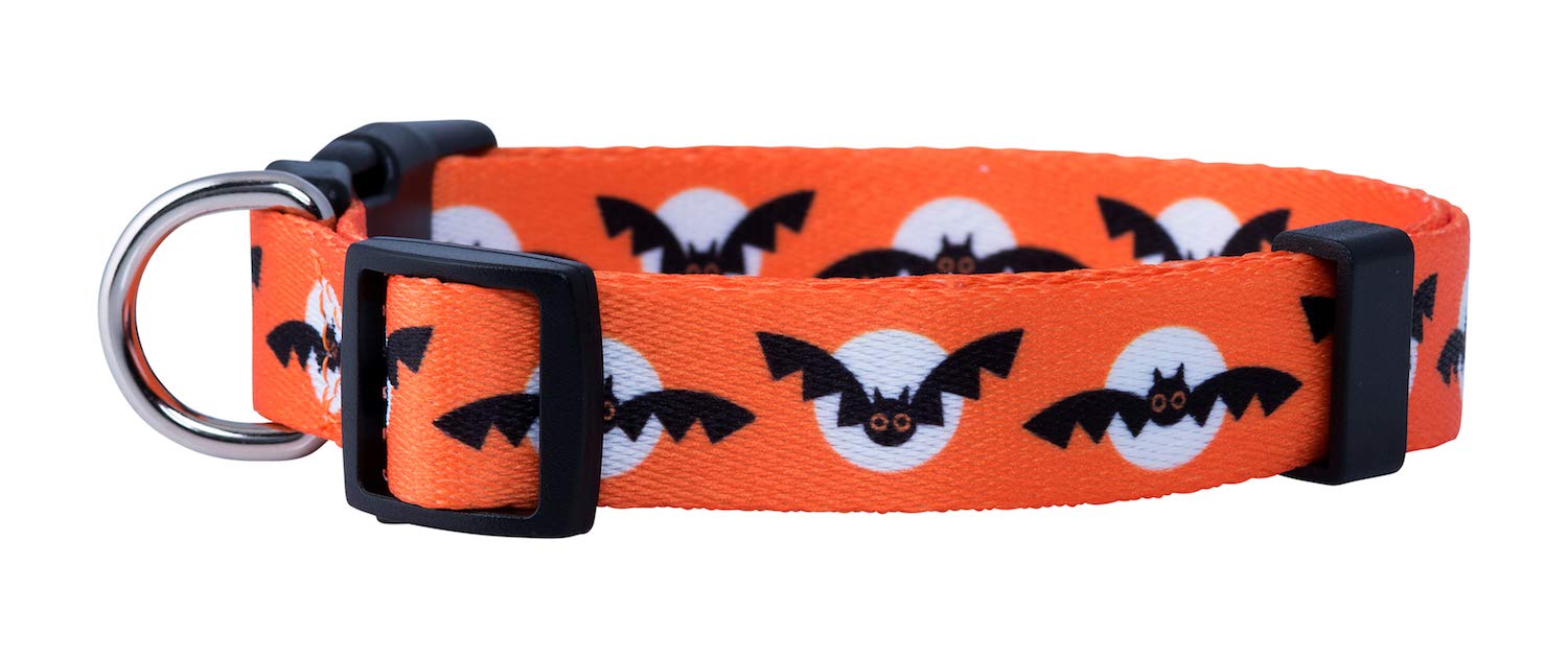 Native Pup collar Halloween calabaza: color vivo para resaltar tu perro.