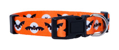 Native Pup collar Halloween calavera: perfecto para fiestas y paseos temáticos.