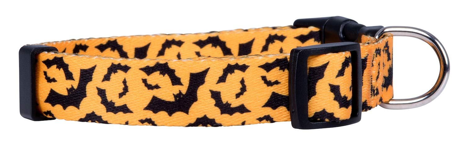Native Pup collar murciélagos grande con hebilla de ajuste seguro para comodidad.