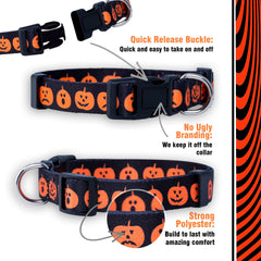 Collar Native Pup con murciélago, estilo único para fiestas de otoño