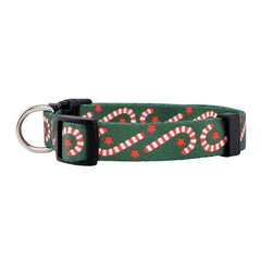 Collar Native Pup de reno, perfecto para fiestas invernales y momentos divertidos al pasear.