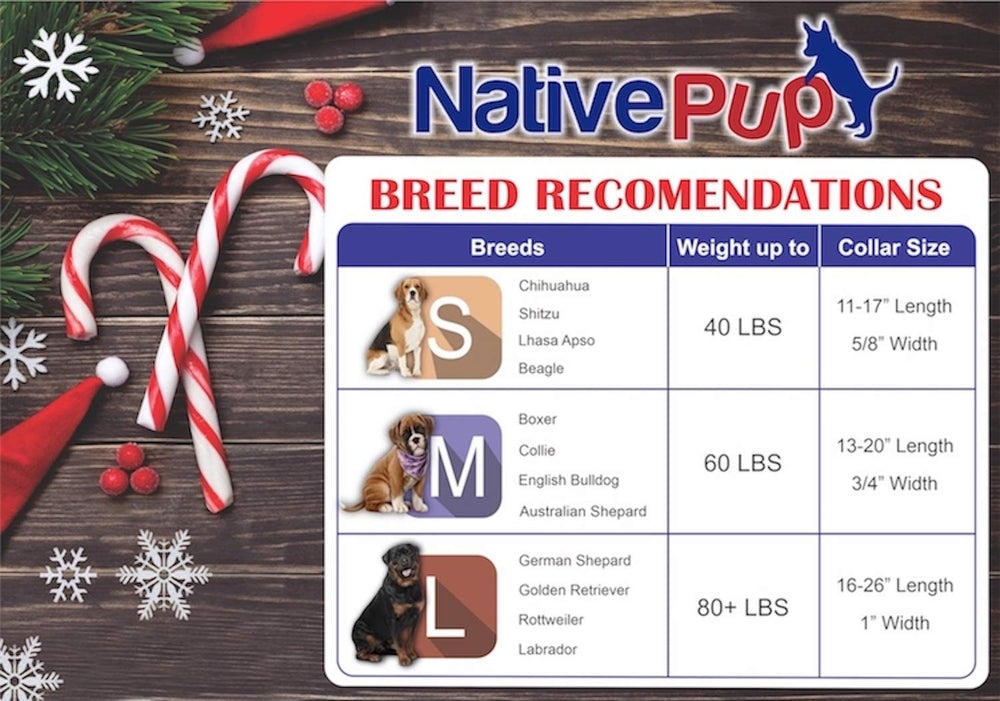Native Pup collar navidad Rojo Verde para perro, ajuste comodo y seguro