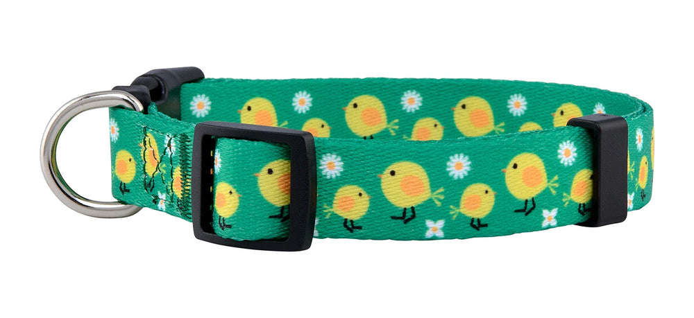 Collar Native Pup Pascua con huevos brillantes para un look festivo