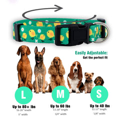 Collar Native Pup Pascua con pollitos, colores vivos para fotos