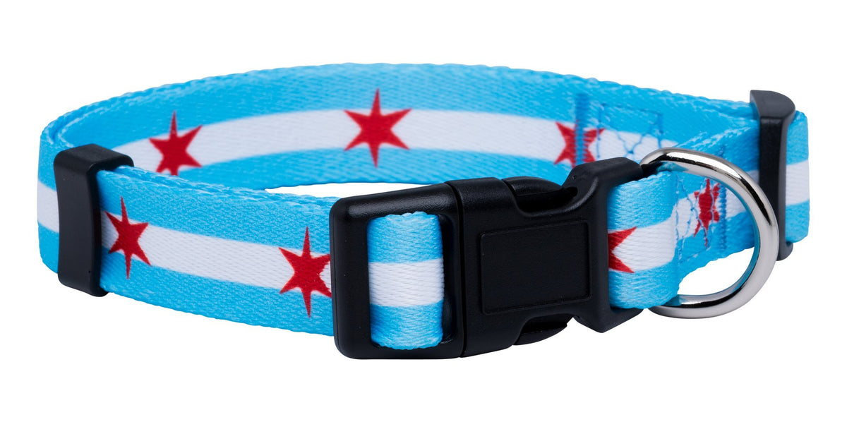 Native Pup collar Chicago con estrellas grandes para lucir orgullo urbano
