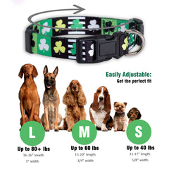 Native Pup collar perro clip plástico resistente para uso diario