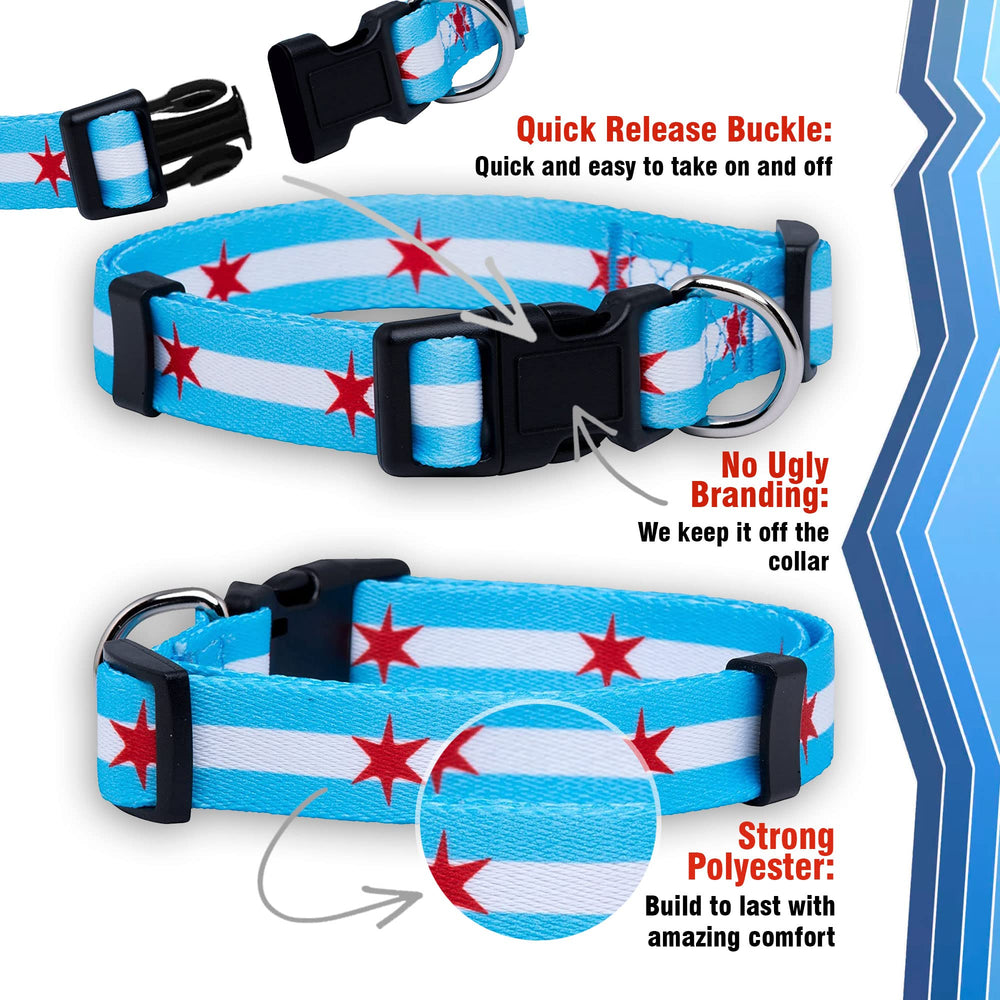 Native Pup collar de colores vibrantes Chicago, visible en paseos y parques