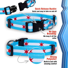 Native Pup collar de colores vibrantes Chicago, visible en paseos y parques