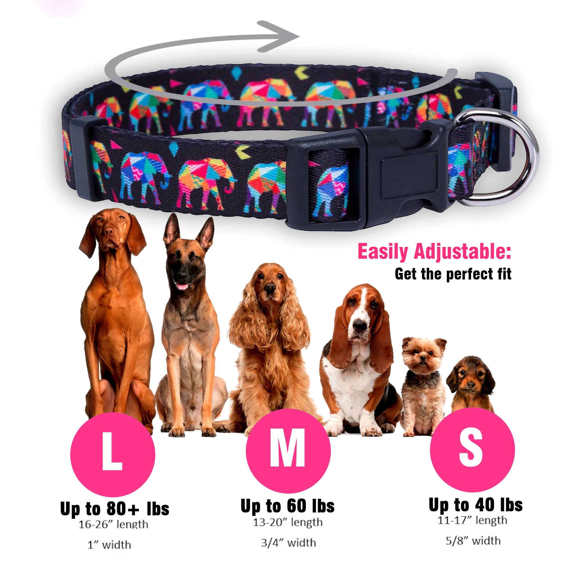Colores vibrantes destacan la apariencia del perro con Native Pup