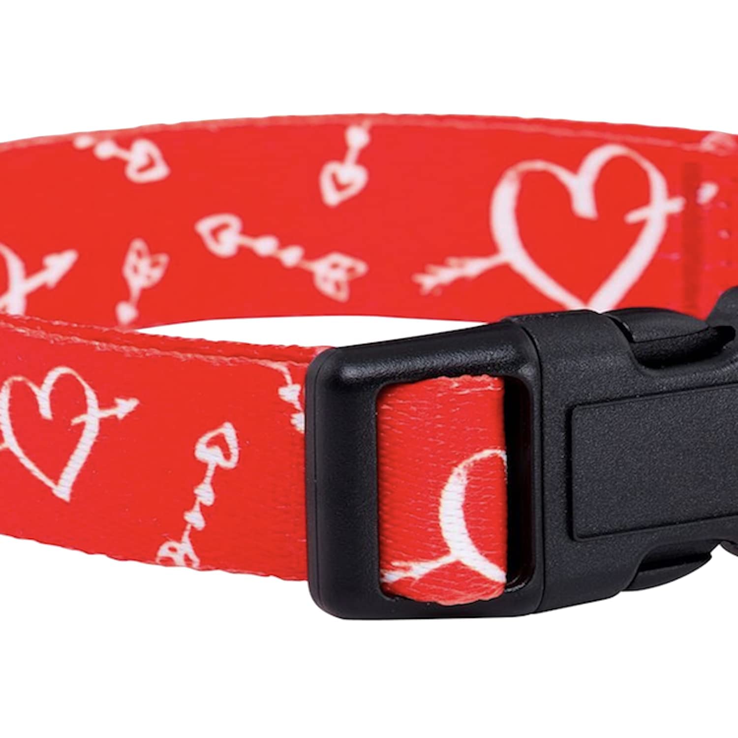 Collar puesto en perro mediano, diseño de San Valentín cómodo y ajustable.