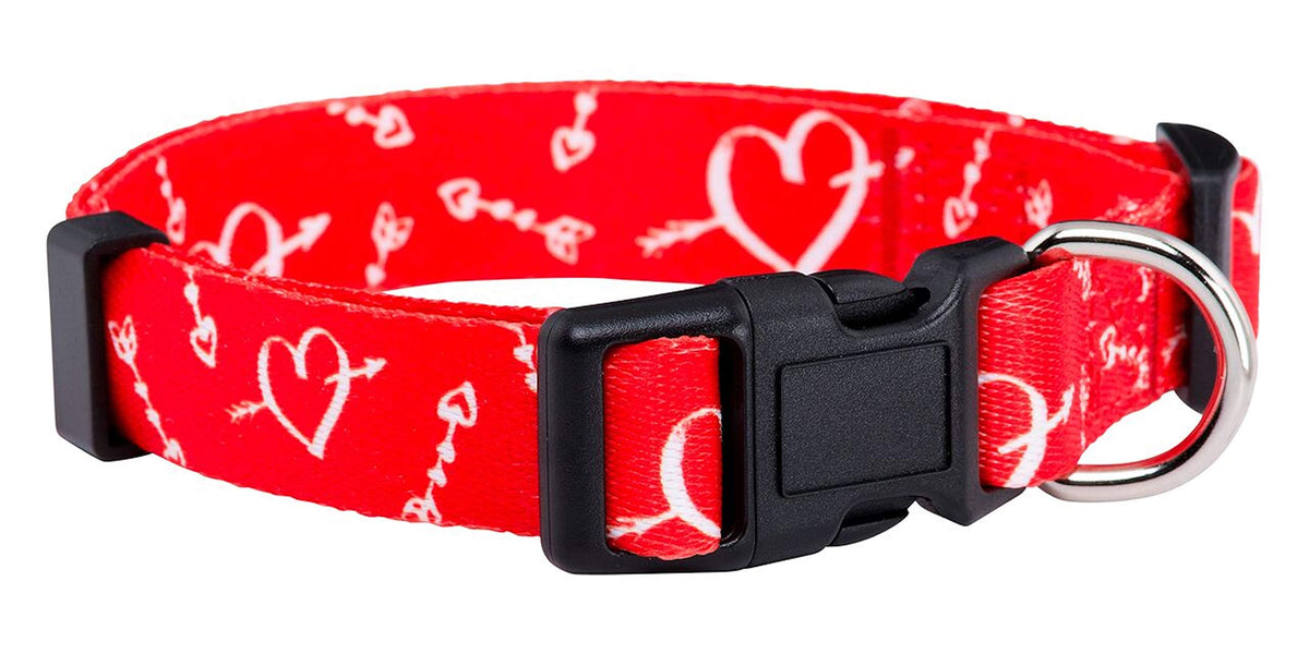 Collar Native Pup San Valentín con corazones rosados para paseos con estilo.