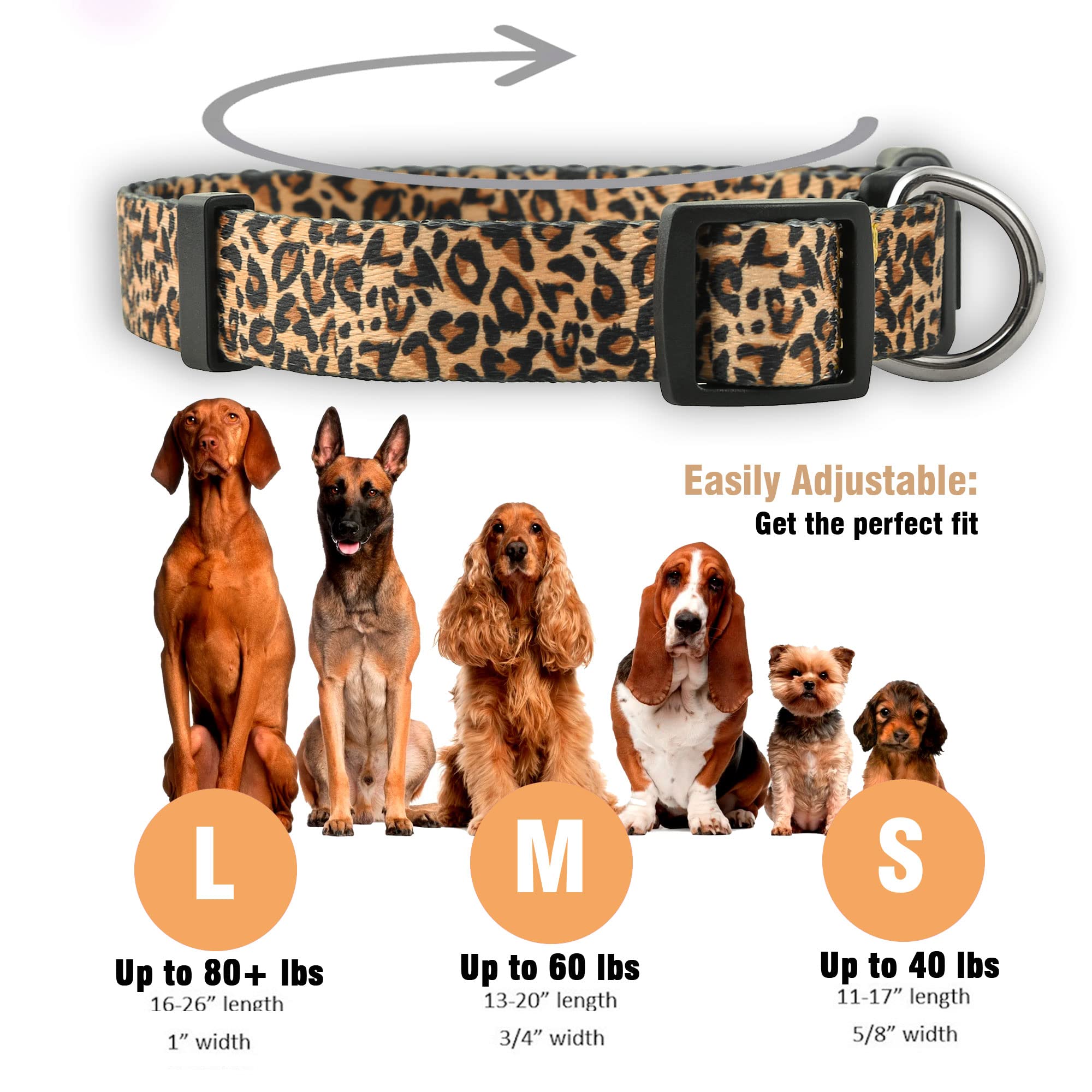 Collar Native Pup sin marca visible, estética limpia