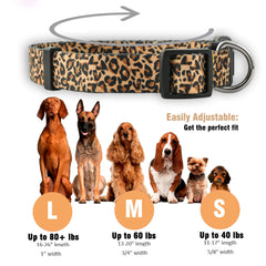 Collar Native Pup sin marca visible, estética limpia