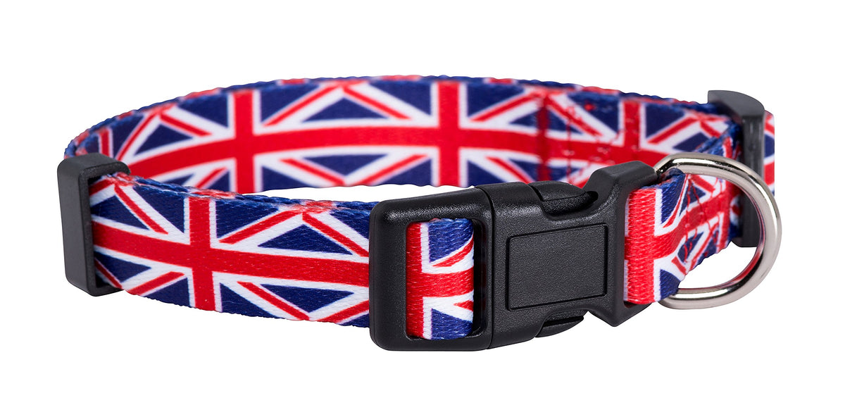 Collar Union Jack de Native Pup visto de frente, estilo patriótico para tu perro.
