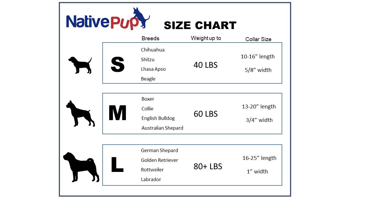 Empaque minimalista de Native Pup mantiene la marca sin molestar al perro.