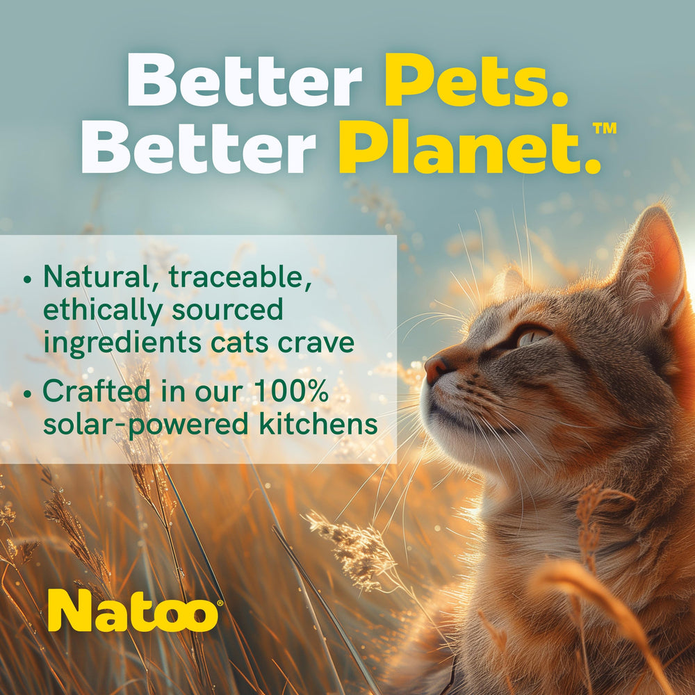 NATOO para mezclar con croquetas y mejorar la textura.