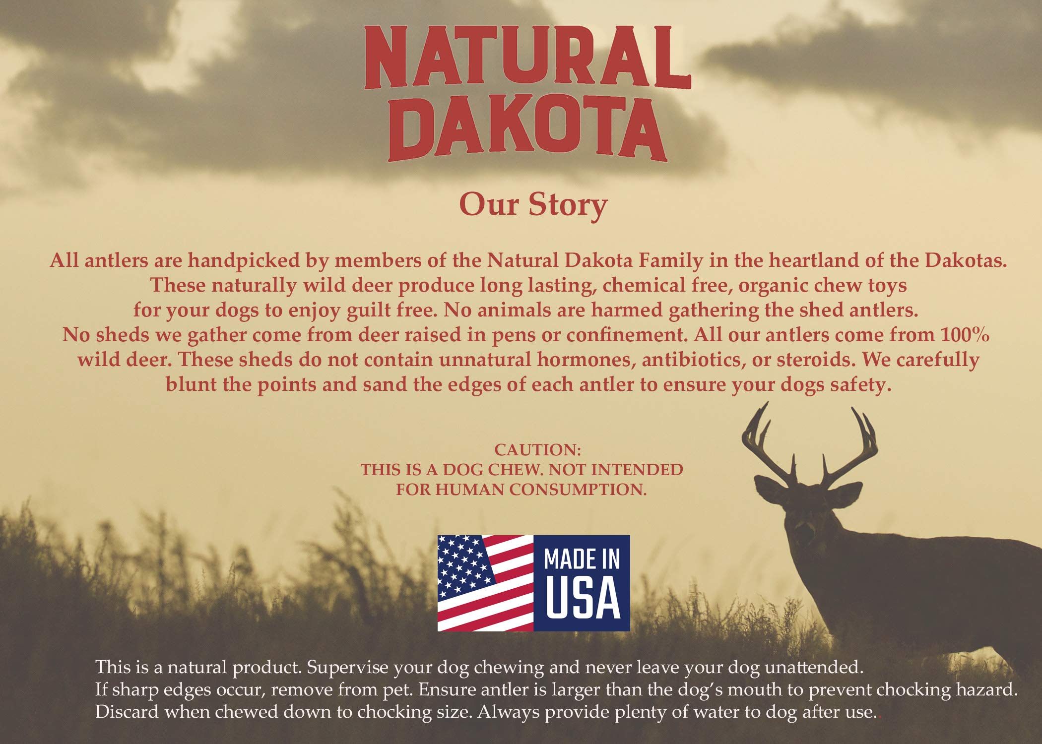 Natural Dakota Asta de ciervo cortada y lista para perros pequeños, sin hormonas.