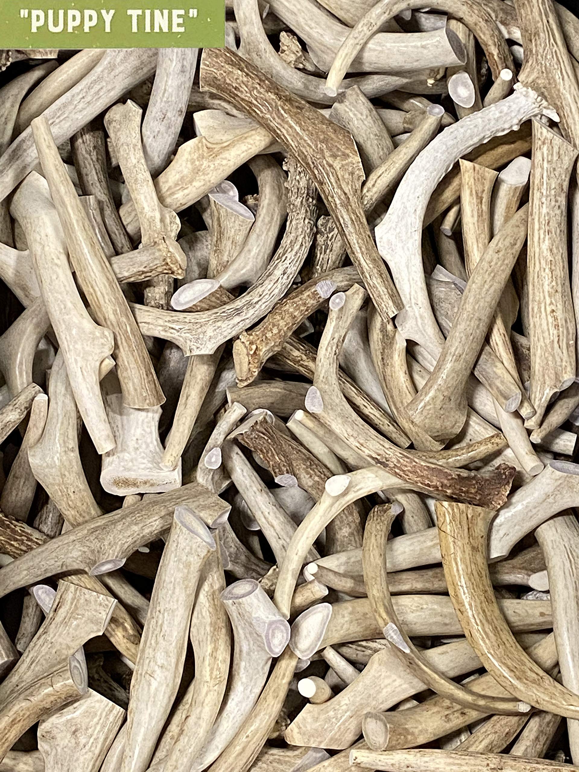Natural Dakota Asta de ciervo masticable mediana para cachorros, fuente de calcio y zinc.