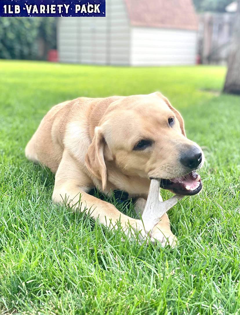 Natural Dakota Paquete 1 Libra Mordedor Ciervo: larga duración para varios perros