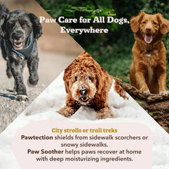 Natural Dog Co bálsamo-protección-patas: protege contra elementos y sequedad.