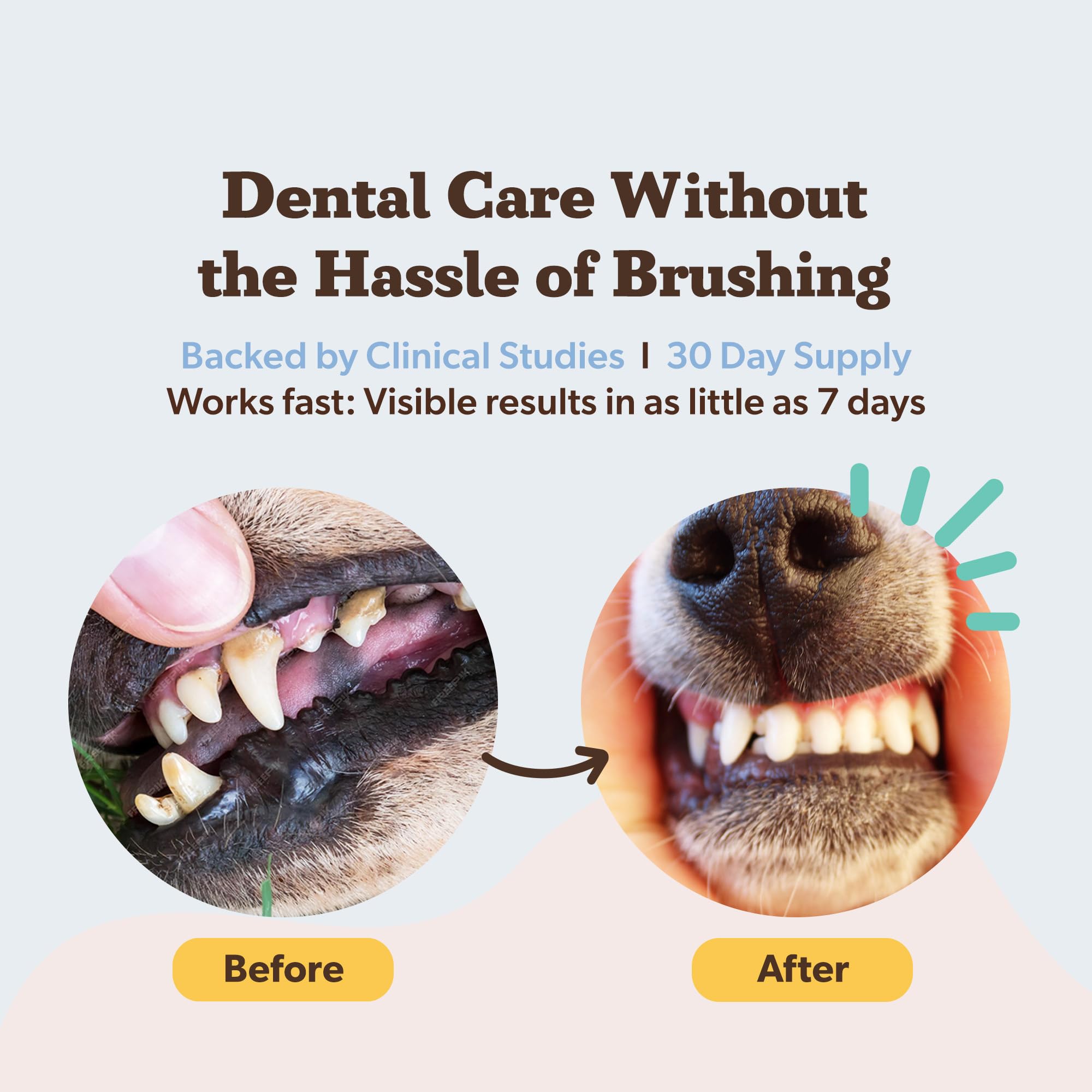 Aliento más fresco tras uso diario del polvo dental de Natural Dog Company.