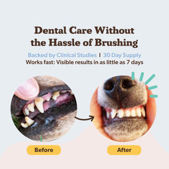 Aliento más fresco tras uso diario del polvo dental de Natural Dog Company.