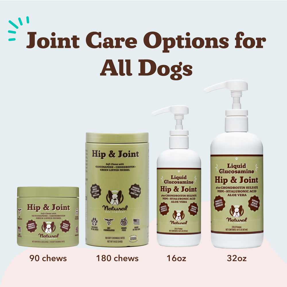 Natural Dog Company frasco de 32 onzas, fácil de medir para dosis diarias.
