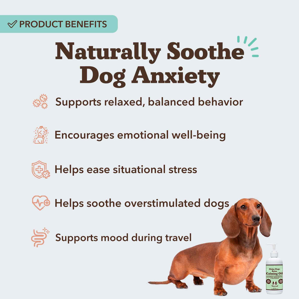 Natural Dog Company Calming Oil, vista frontal de la botella para ansiedad suave.
