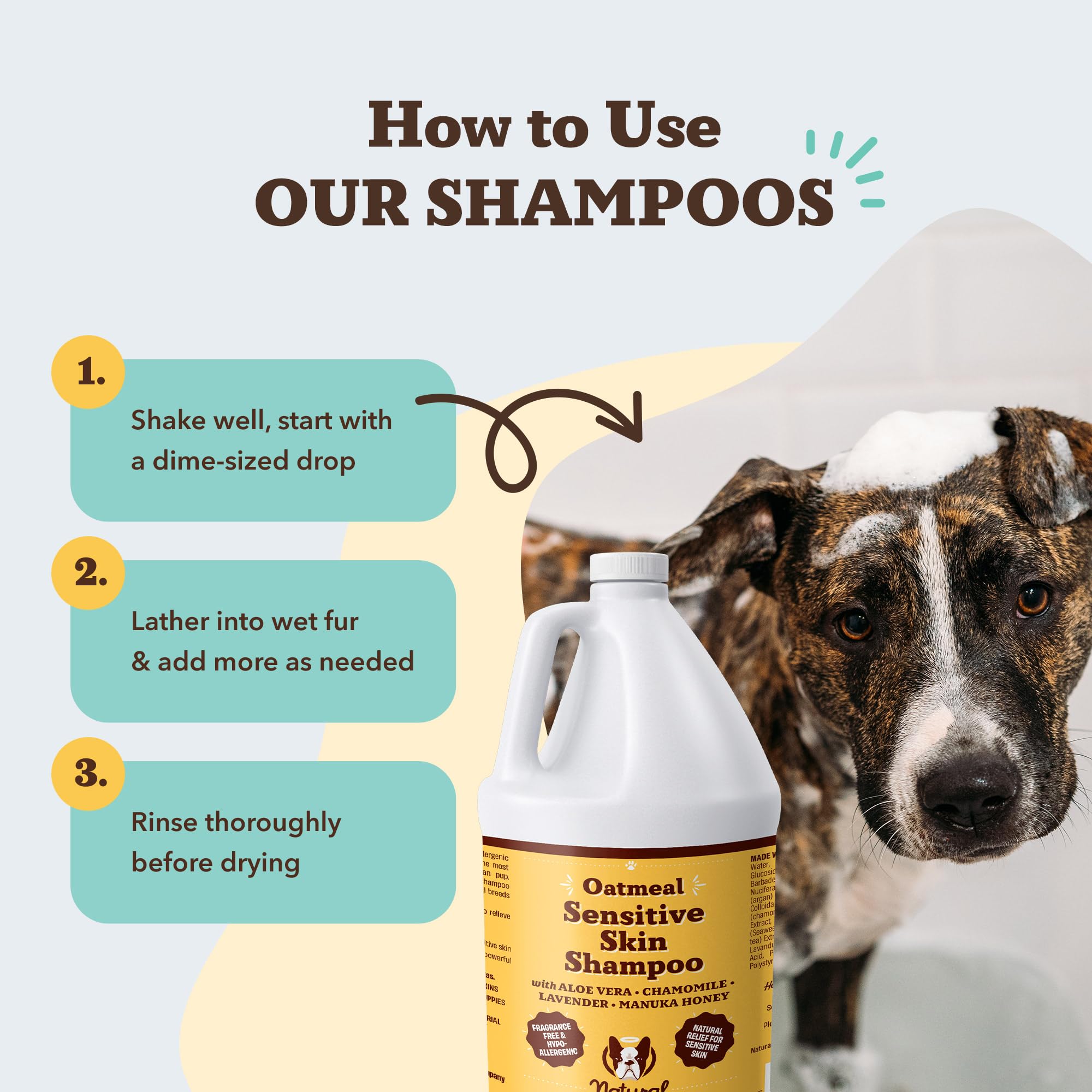 Natural Dog Company champú hecho en Estados Unidos, ingredientes seguros para perros.
