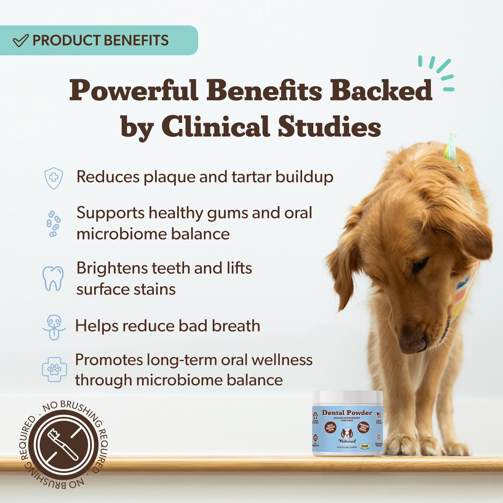 Polvo postbiótico canino natural de Natural Dog Company para equilibrio oral.