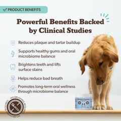 Polvo postbiótico canino natural de Natural Dog Company para equilibrio oral.