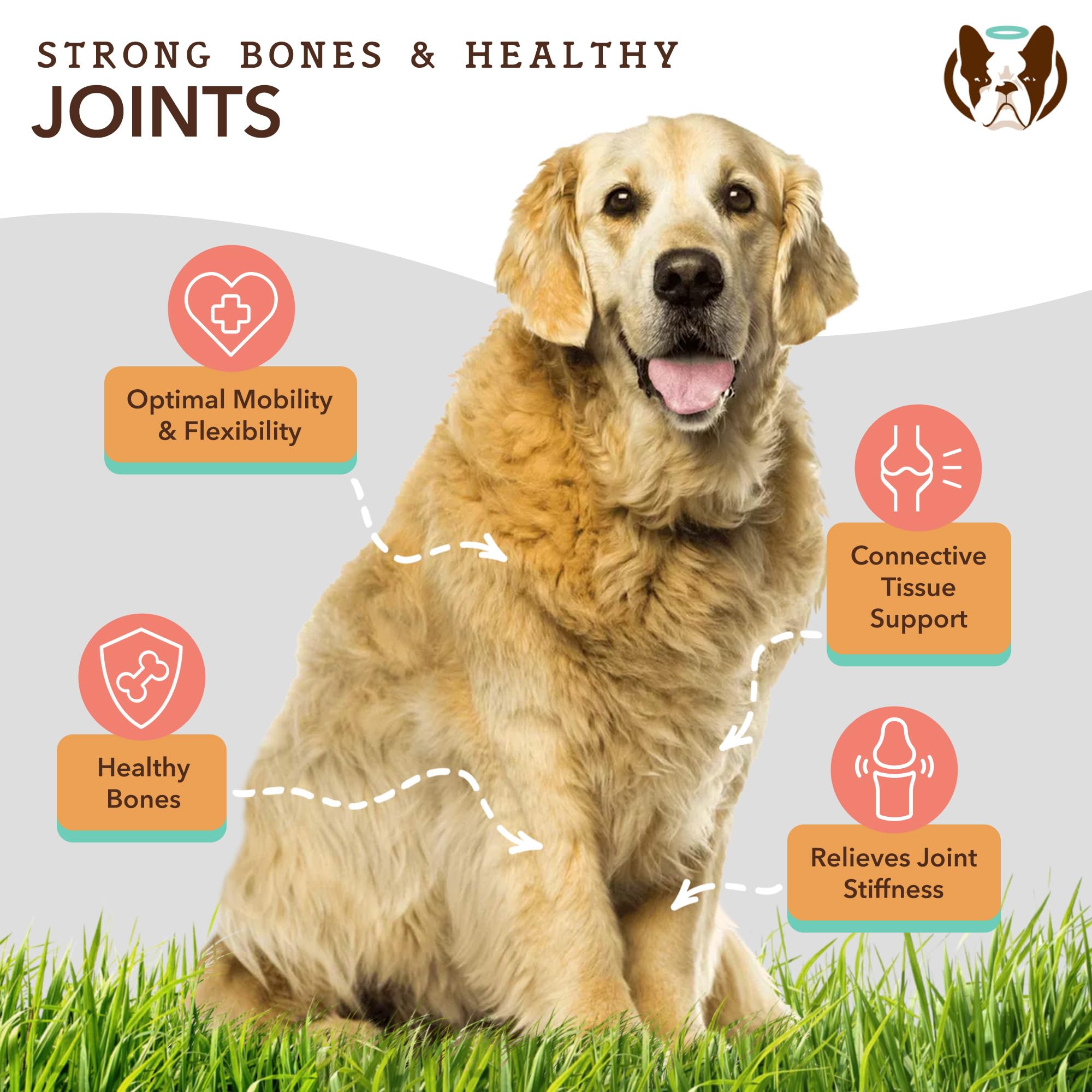 Natural Dog Company dosis diaria en envase para administración fácil