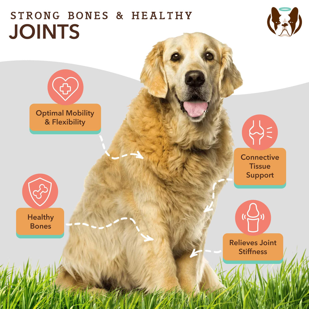 Natural Dog Company dosis diaria en envase para administración fácil