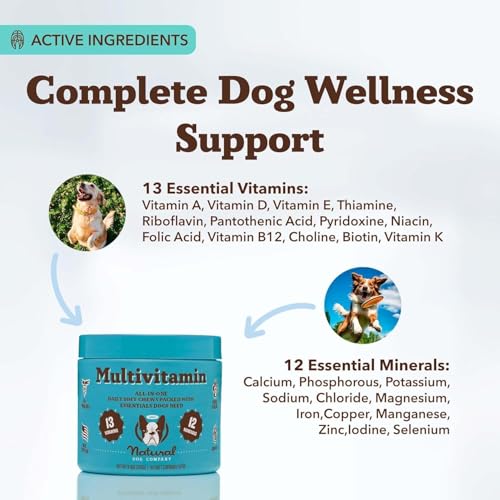 Natural Dog Company textura suave sin pastillas, dosis diaria fácil