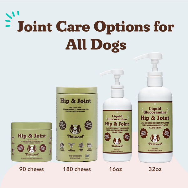 Natural Dog Company glucosamina líquida, envío seguro y embalaje práctico.