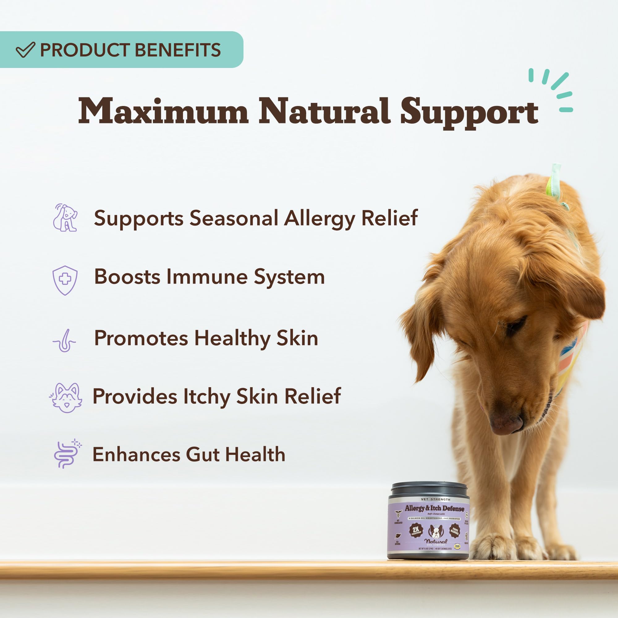 Natural Dog Company gomitas para alergias, apoyo diario para el perro.