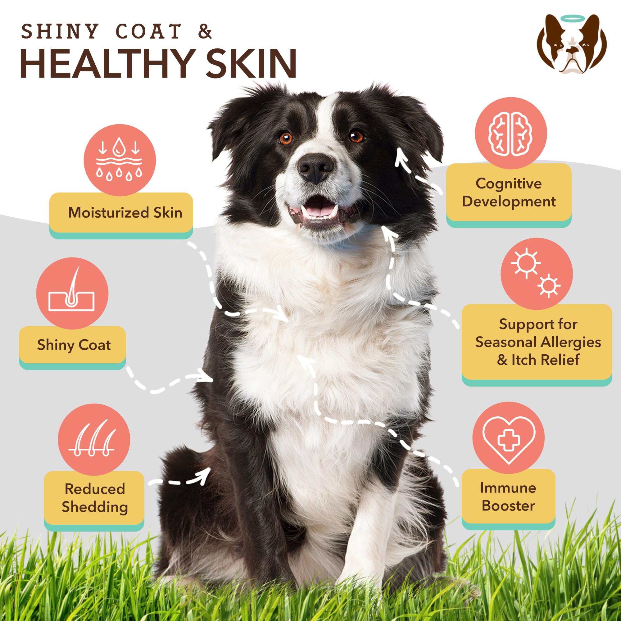 Natural Dog Company mezcla omega-3-6 en botella para piel y pelaje