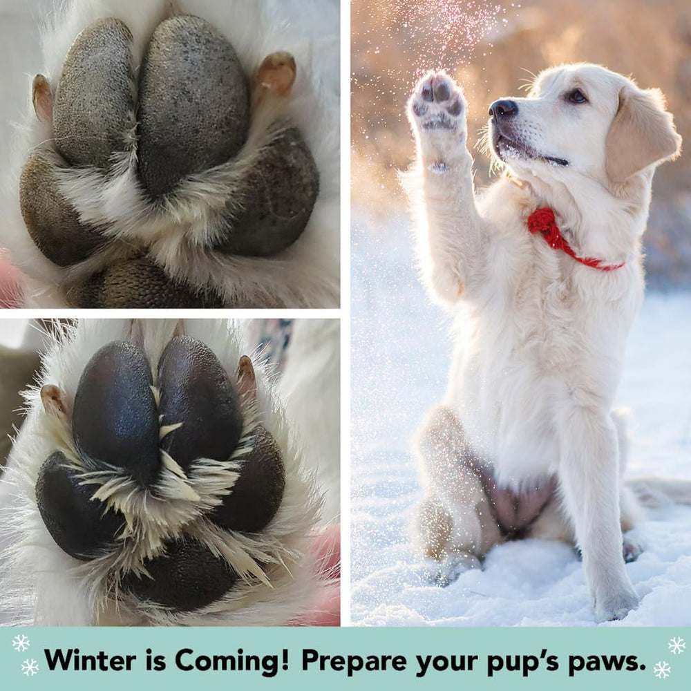Natural Dog Company PawTection Balm parte de una rutina invernal de cuidado de patas.
