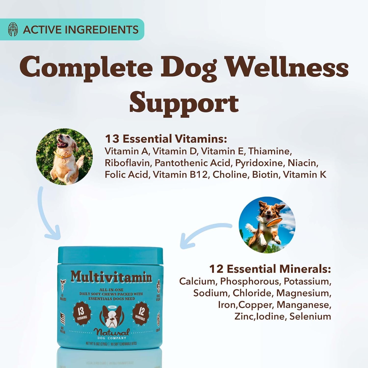 Natural Dog Company piel y pelaje saludables gracias a zinc y omega-3