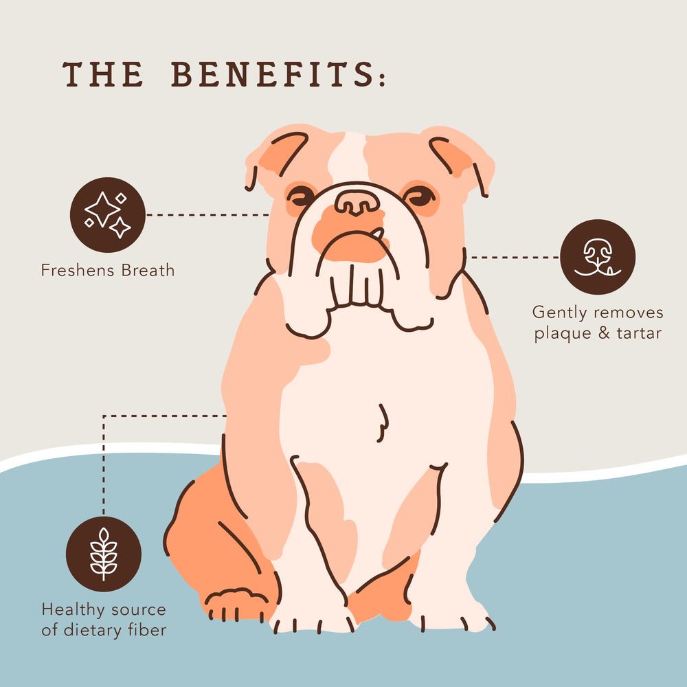 Natural Dog Company respiracion fresca: aliento más agradable tras la masticación.