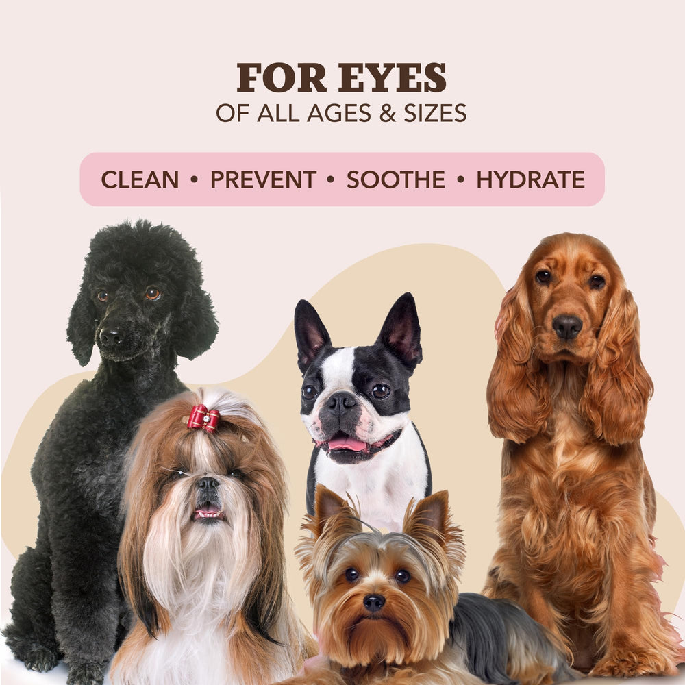 Natural Dog Company seguridad en la limpieza: evita inserciones profundas.