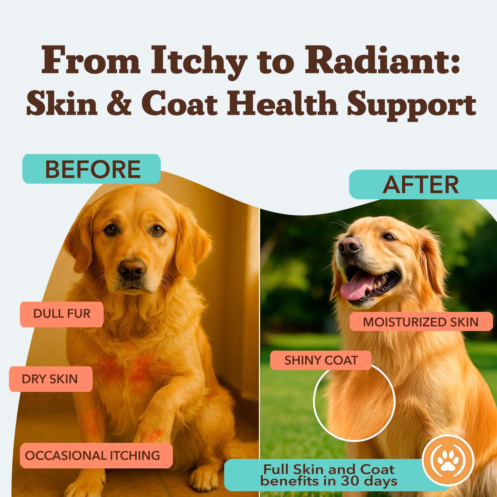 Natural Dog Company Skin & Coat: etiqueta con biotina y vitamina E, piel saludable.