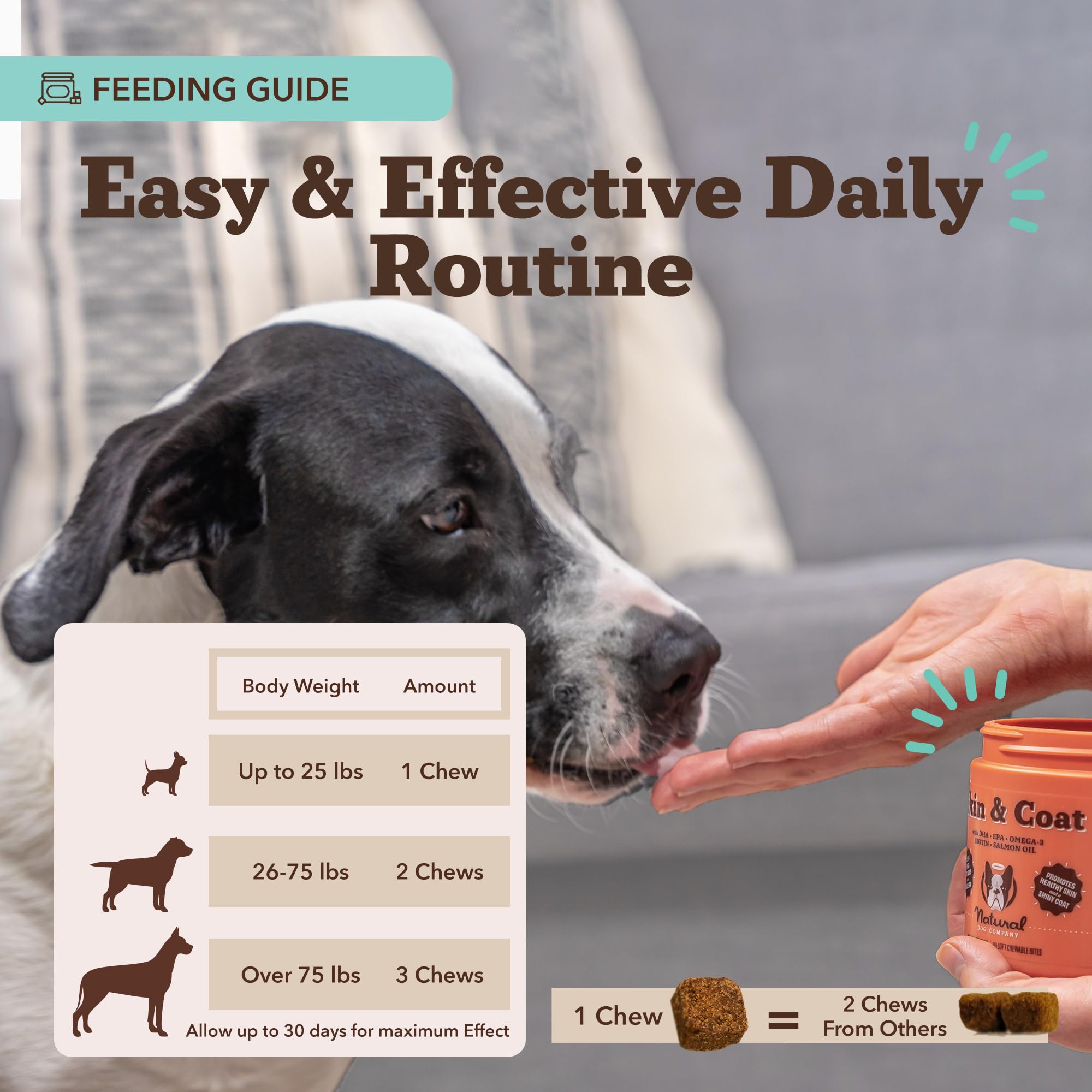 Natural Dog Company Skin & Coat: porciones diarias simples para uso constante.