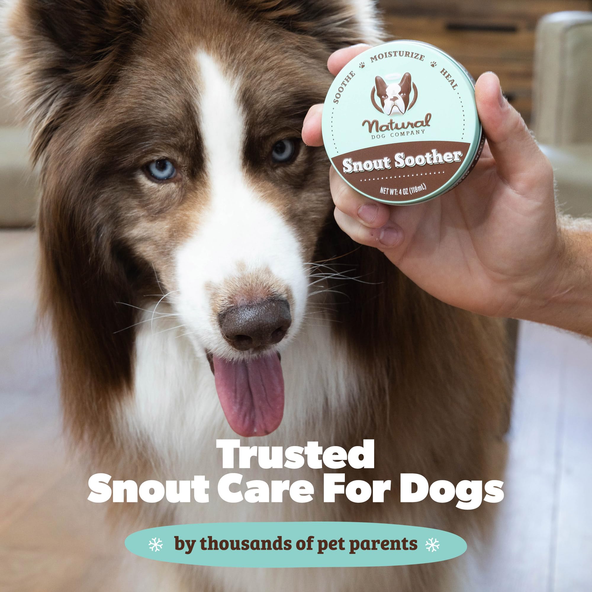 Natural Dog Company Snout Soother aplica sin esfuerzo para nariz.