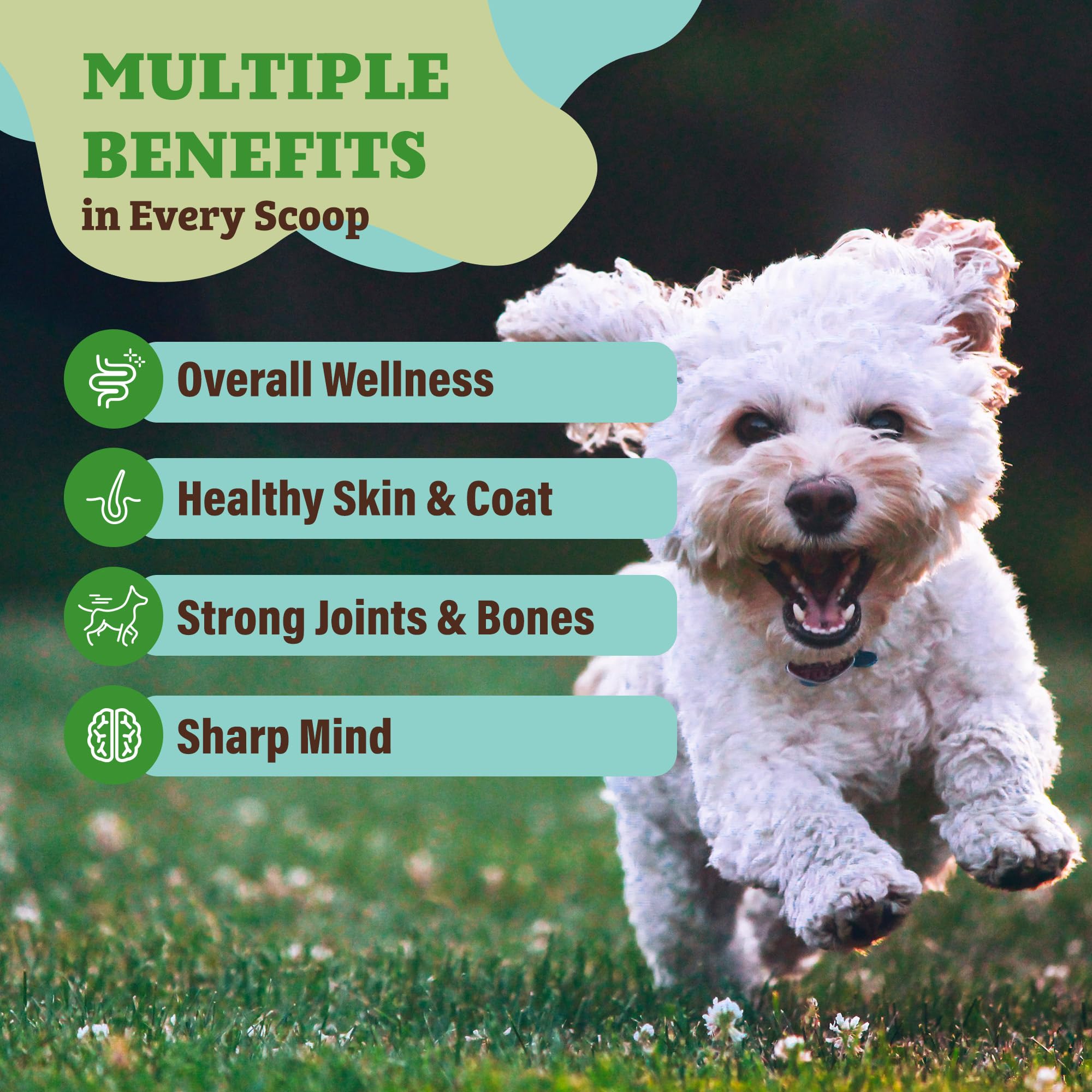 Natural Dog Company Super Greens, polvo verde, antioxidantes naturales para el bienestar.