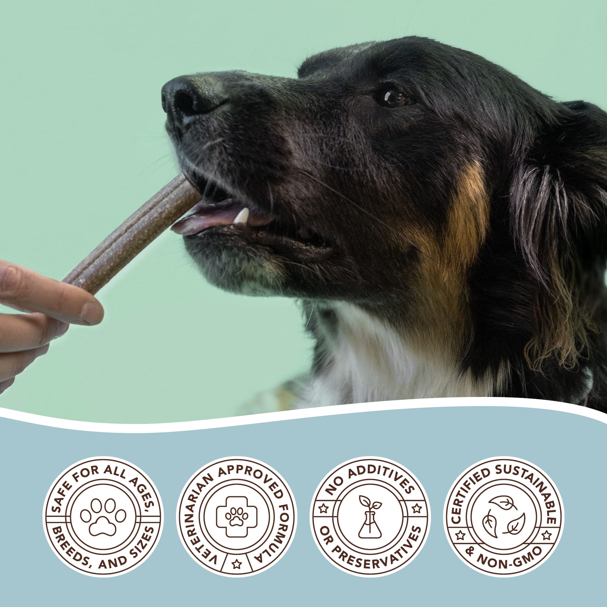 Natural Dog Company textura ondulada: masticación que favorece la higiene bucal diaria.