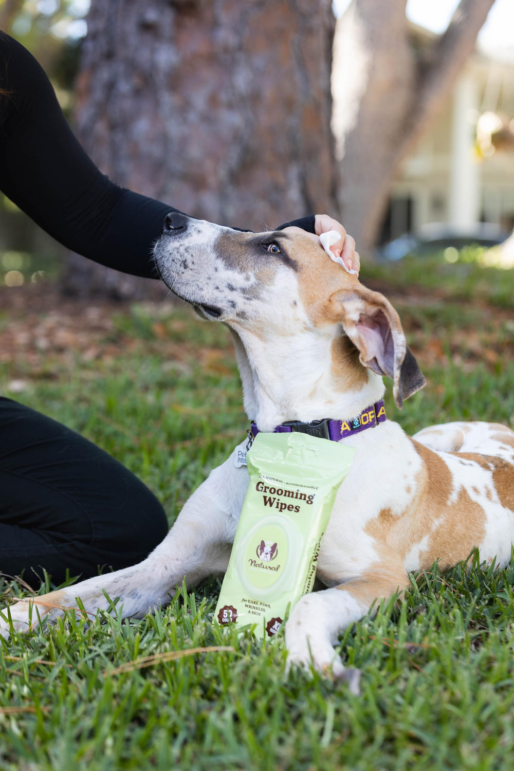 Toallitas XL de Natural Dog Company para pliegues faciales, limpieza segura en piel sensible.