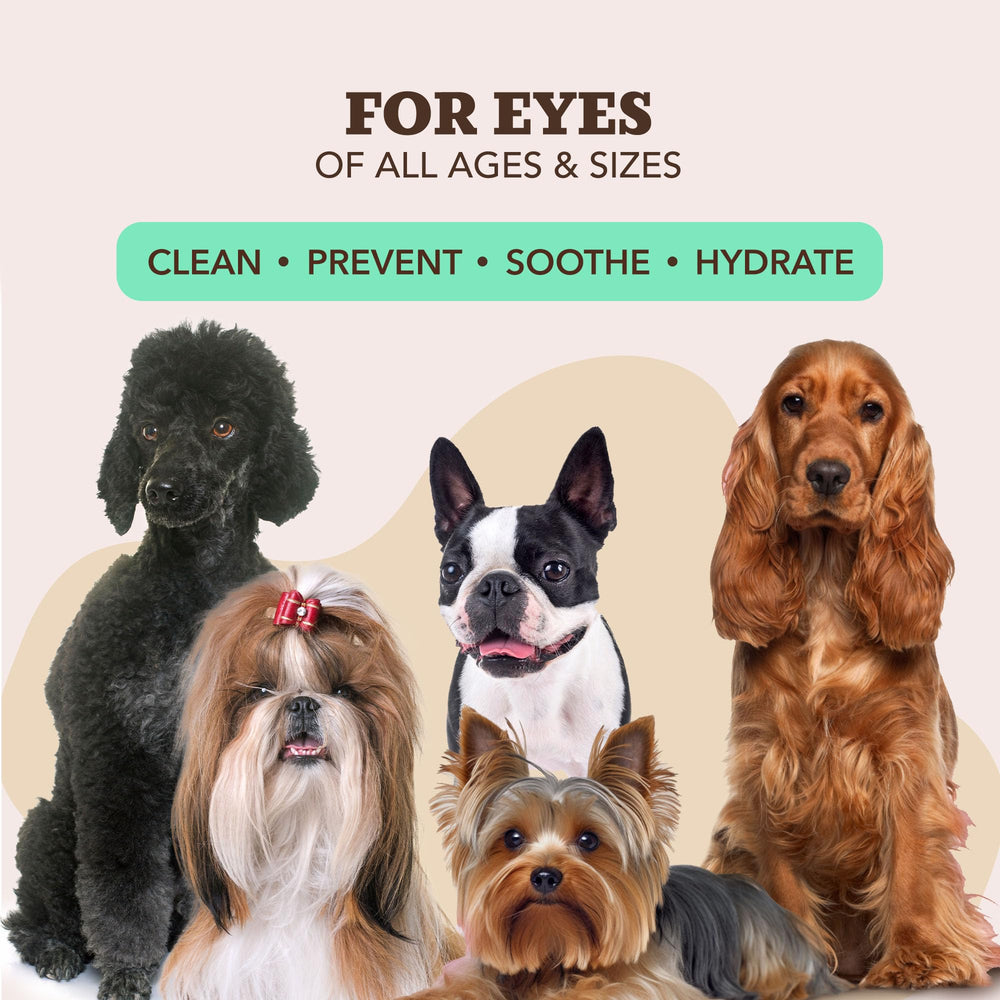 Toallitas de 50 unidades de Natural Dog Company para limpieza expedita durante paseos.
