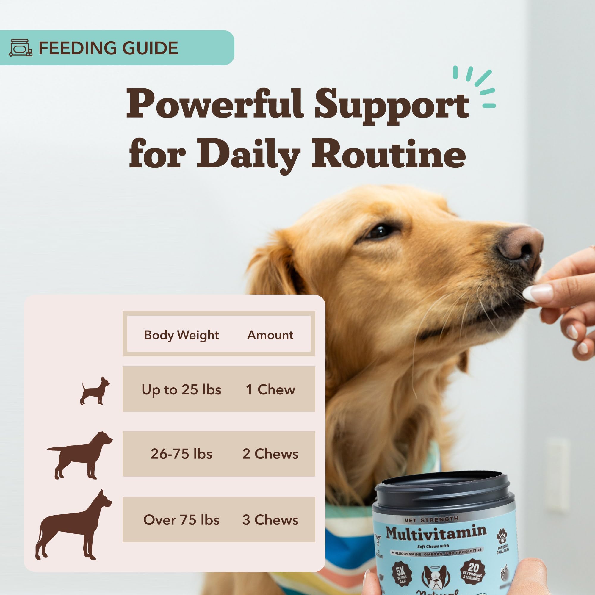 Natural Dog Company Vet Strength Multivitamin, piel sana y pelaje brillante gracias a omegas.