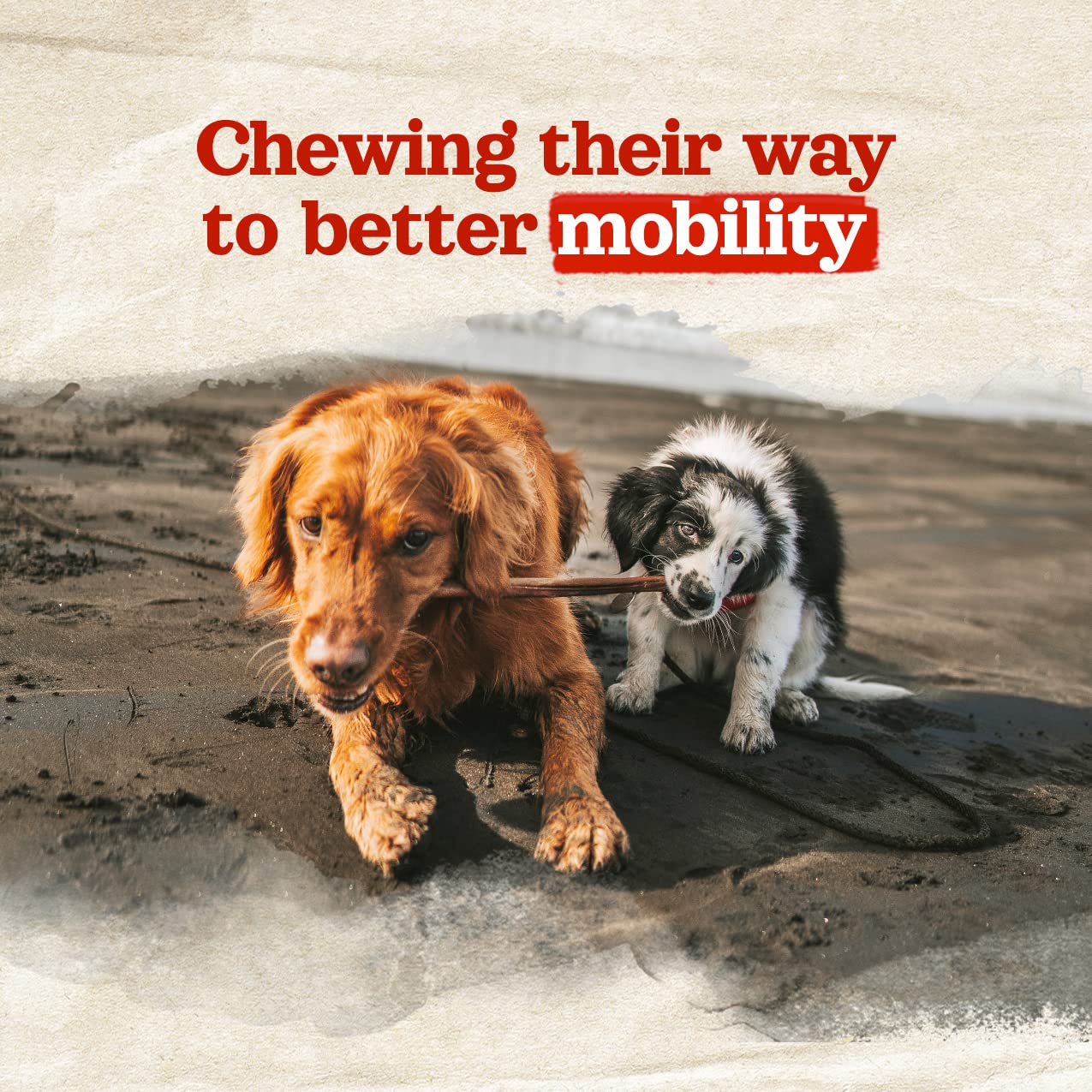Natural Farm Masticables para perros sin granos